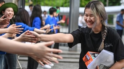 Thủ khoa thi lớp 10 THPT không chuyên Hà Nội và 8 á khoa là ai?