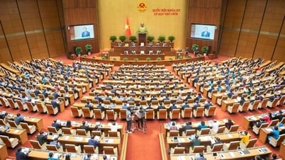 Nghị quyết của Quốc hội và UBTVQH khóa XV