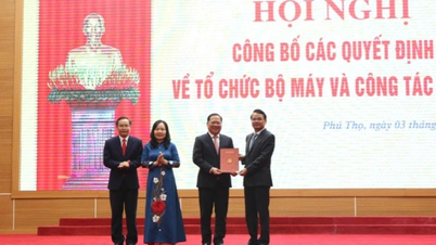 Phu Tho ប្រកាសសម្រេចចិត្យលើអង្គការ និងបុគ្គលិក