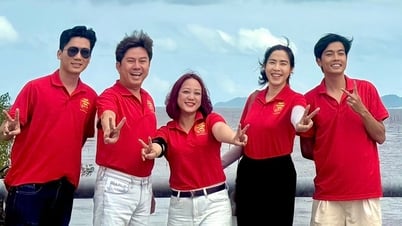 Hơn 50 nghệ sĩ TP.HCM sẽ lắp đèn năng lượng mặt trời ở Cà Mau