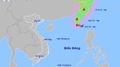 東海に強い嵐が発生