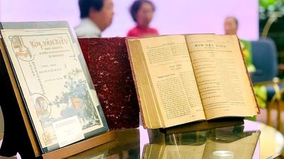 150 năm Kim Vân Kiều muôn mặt: Truyện Kiều là bản đồ văn hóa, ngôn ngữ và tâm hồn