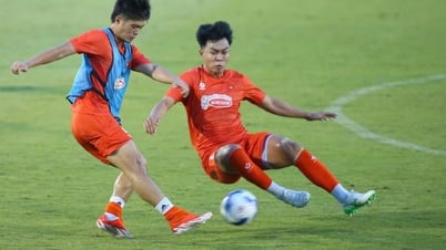 Équipe du Vietnam U.23 : la philosophie « courageux comme un tigre » de M. Kim Sang-sik