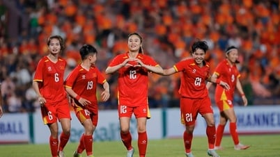 Approving the Project for Developing Vietnamese Football to 2030, with a vision to 2045