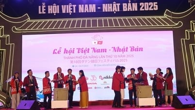 Đà Nẵng tưng bừng khai mạc Lễ hội Việt Nam - Nhật Bản lần thứ 10