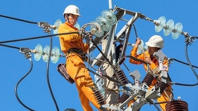 EVN requests review and explanation of high electricity bill cases