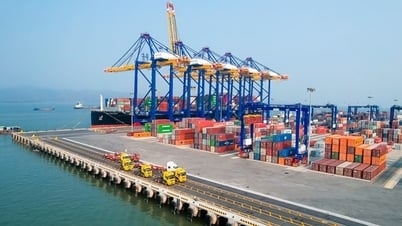 Au cours des six premiers mois de 2025, le chiffre d'affaires total des importations et des exportations a augmenté de 16,1 %