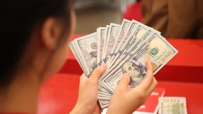 توقعات سعر صرف الدولار الأمريكي مقابل دونج فيتنامي بعد وصول الدولار الأمريكي إلى ذروته في البنوك