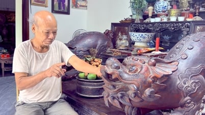 Cựu chiến binh đam mê đồ cổ, sinh vật cảnh