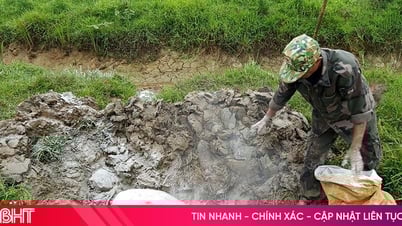 Cần sớm bố trí quỹ đất phục vụ tiêu hủy gia súc mắc bệnh