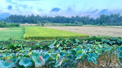 ขยายการยกเว้นภาษีที่ดินเพื่อการเกษตรต่อไปอีก 5 ปี