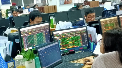 Cổ phiếu họ Vin dậy sóng, Vn-Index tăng gần 13 điểm