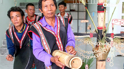 Unique new rice celebration of the Raglai people