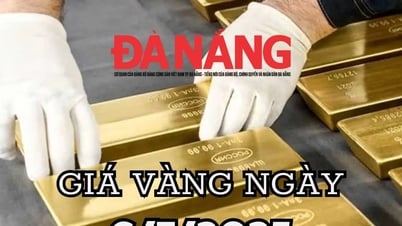 明日2025年7月6日の金価格予想、国内金価格は1億2000万元の高値を維持、世界金価格は3300ドル超で引け