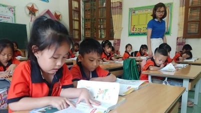 Zuweisung von 7 Aufgaben auf Provinzebene unter der Aufsicht des Ministers für Bildung und Ausbildung