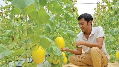 Khẳng định vị thế số 1 về nông nghiệp công nghệ cao