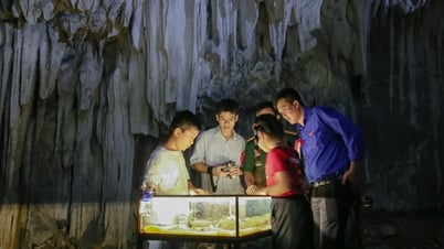 Hang Chỉ Huy - lớp học lịch sử giữa đại ngàn