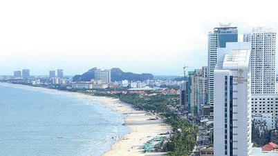 Crear las condiciones más favorables para que la ciudad de Da Nang construya un centro financiero internacional