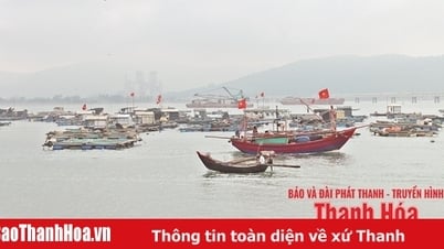 “Văn hóa dân gian biển, đảo xứ Thanh như chất men say ngấm vào đời tôi”...