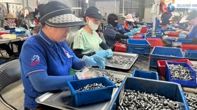 草の根組合活動の質の向上