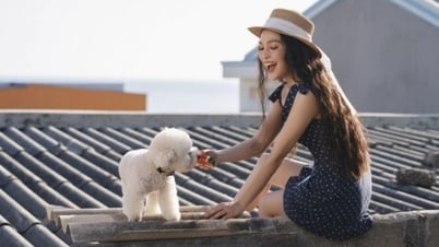 Hiền Thục sẽ 'sống được 200 năm nữa' nếu vẫn có hit Nhật ký của mẹ