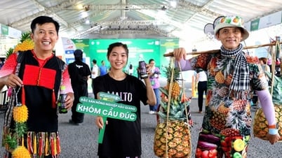 Những hình ảnh vui nhộn tại giải marathon quốc tế đầu tiên của TP Cần Thơ mới