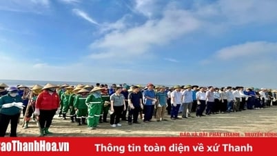 Al mismo tiempo, Nam Sam Son Ward lanzó una campaña para limpiar el medio ambiente marino.