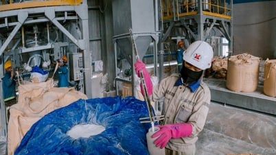 Dak Nong Aluminum Company vise à atteindre plus de 364 000 tonnes d'alumine