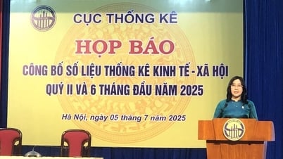 GDP 6 tháng đầu năm 2025 tăng 7,52%