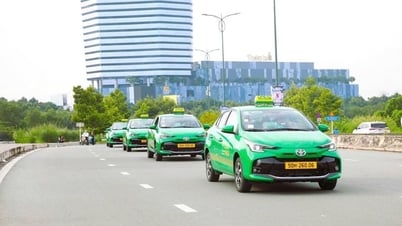 مجموعة ماي لينه تعيد هيكلة نفسها بشكل شامل للتكيف مع مساحة التنمية الجديدة في البلاد