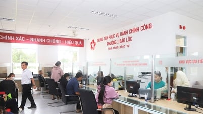 Support focal point for Commune-level Public Administration Service Center