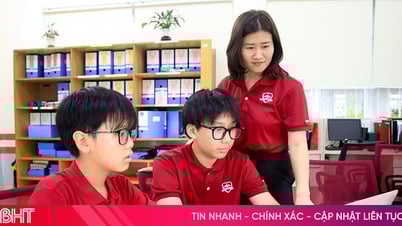 Deux collégiens conçoivent un site Web pour guider le tourisme à Ha Tinh