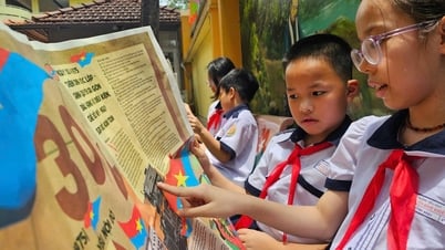 ホーチミン市の中心部にある学校はどの区にありますか？