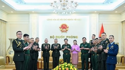 General Phan Van Giang received the Commander of the Thai National Defense Force...