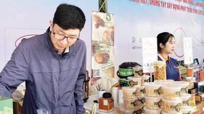 ការអភិវឌ្ឍន៍សេដ្ឋកិច្ចសហប្រតិបត្តិការ - មើលឃើញពីឧទាហរណ៍គំរូ