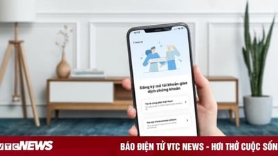 Aproximadamente el 10% de la población de Vietnam tiene una cuenta de valores.