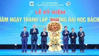 L'Université de technologie de Danang affirme son rôle de centre de formation et de recherche de premier plan dans la région des hauts plateaux du centre.