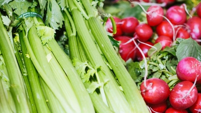 វេជ្ជបណ្ឌិត 24/7: តើទឹក celery ជួយបន្ថយកូលេស្តេរ៉ុល និងសម្ពាធឈាមដែរឬទេ?