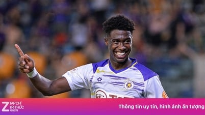 Hanoi liquide le meilleur buteur étranger de la V.League 2024/25