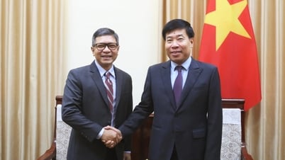 Förderung der Zusammenarbeit zwischen Vietnam und Indonesien in vielen Bereichen
