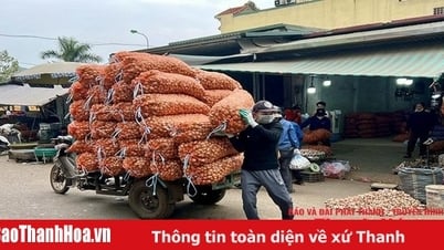 За суетой и шумом зарабатывания на жизнь