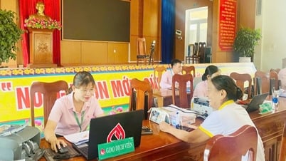 Операционный офис банка социальной политики Duy Xuyen обеспечивает бесперебойный поток кредитного капитала