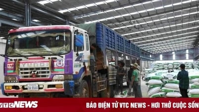 Doanh nghiệp xuất khẩu lúng túng sau thay đổi đơn vị hành chính
