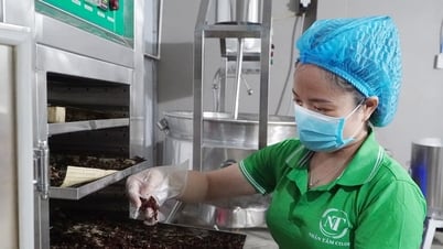 Nâng cao giá trị nông sản xứ Tiên
