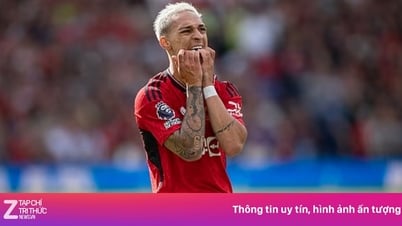 MU 스타 5명, 1군 접촉 금지