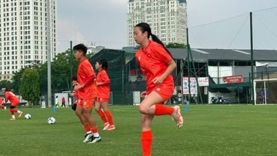 베트남 여자 축구를 위한 해외 베트남 선수를 찾습니다