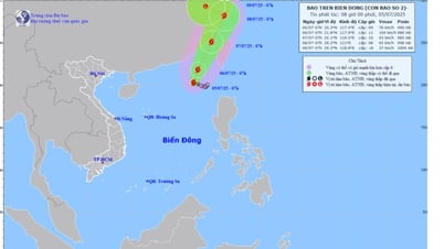 Bão số 2 di chuyển theo hướng Tây Bắc và suy yếu dần thành một vùng áp thấp trong 72-96 giờ tới