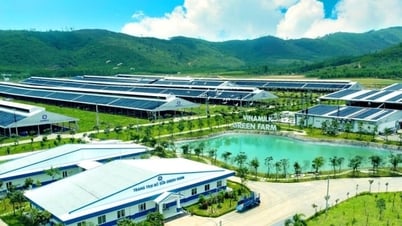 2025 7월 6일 하노이 모이 신문 특별기사