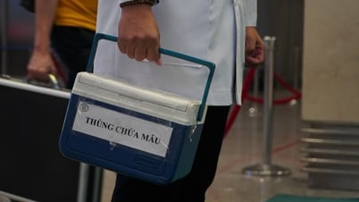 Будет внедрена система государственной трансплантации органов
