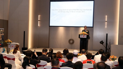 Promoting Vietnam-Japan tourism cooperation